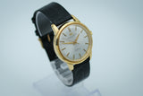 IWC - Ingenieur Ref. 866