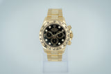 Rolex - Daytona Ref. 116508 Black Diamond Dial