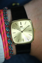 IWC - TV Screen Ref. 2572