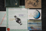 Rolex - Sea-Dweller "Double-Red/Mark IV/Full-Set" Ref. 1665